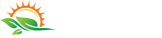 Shivay Export