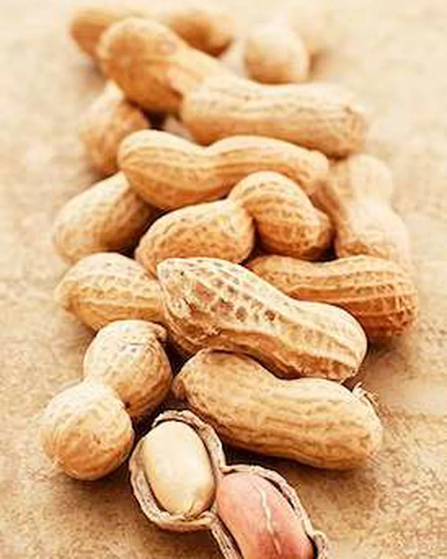 Groundnut kernels